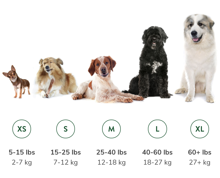 dogs 25 lbs and under